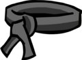 A 2006 picture of the Black Ninja Belt.