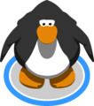 The Black Cape in-game.