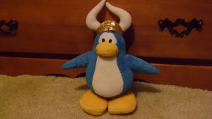 DSC00433.jpg