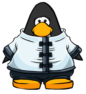 AvalancheSuit2.PNG