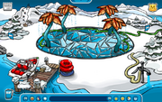 The Dock