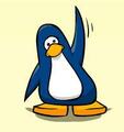 September 2010 Penguin of the Month