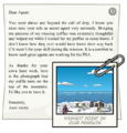 The letter when opened.
