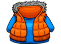 Orange Vest