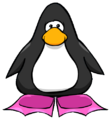 The Pink Flippers on a player card.