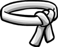 The White Belt.