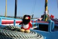Rockhopper on a boat.