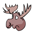 Moose Head