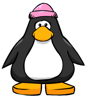 PinkToque2.PNG