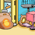 Pet Shop Background