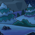 Night-Time Forest
