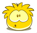 A Gold Puffle when pocked.
