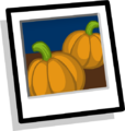 Pumpkin Patch Background