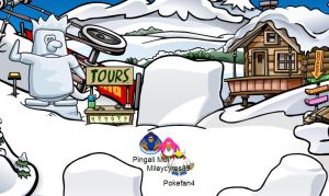 Svillage snow.jpg