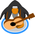 The Acoustic Guitar in-game.