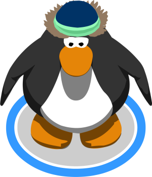 CoolSkiBeanie1.PNG