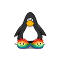 The Rainbow Puffle Slippers on a player card.