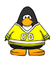 The jersey on a player card