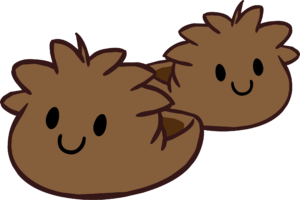 BrownPuffleSlippers.png