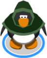 The Green Hooded Cloak in game.