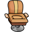 Salon Chair