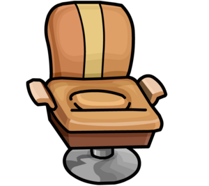 Salonchair.PNG