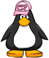 The Pink Skater Hat on a player card.