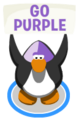 A penguin doing the wave action with the Purple Face Paint on causing it to hold up a sign that says GO PURPLE.