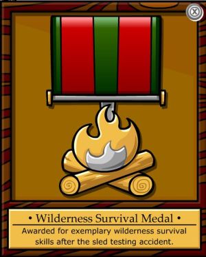 Wilderness Survival Medal.jpg