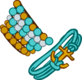 Anchor Charm