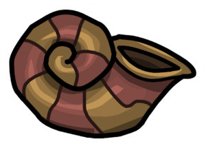 ConchShell.PNG