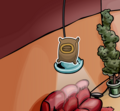 The pin's location.