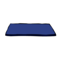 Blue Gym Mat