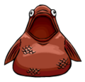 Wise Fish Costume