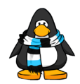 The Blue Striped Scarf on a player card.