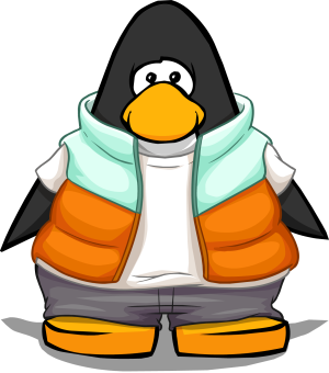 OrangePufferVest2.PNG