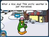 Aunt Arctic as seen in Club Penguin: Elite Penguin Force.
