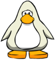 Arctic White on a player card.