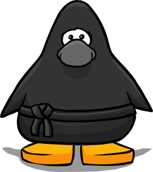 NinjaOutfit1.png