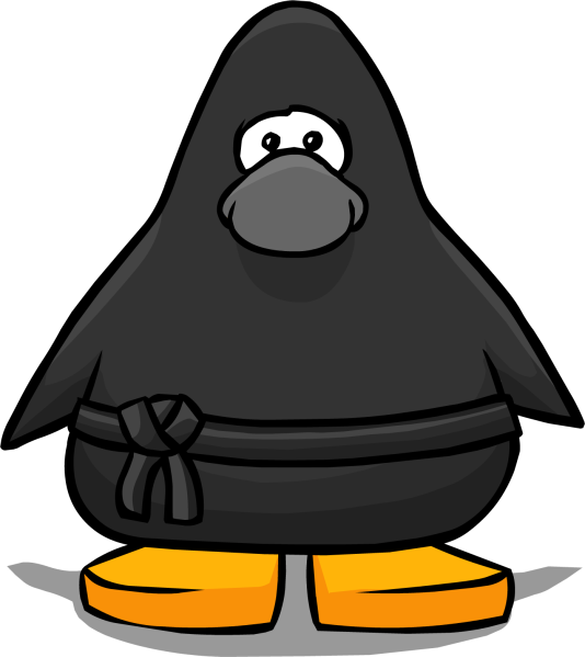 File:NinjaOutfit1.png