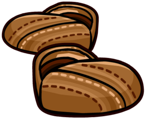 BrownCanvasShoes2012.PNG