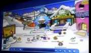 The Ski Village