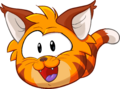 Orange Tabby Cat