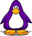 The Dark Purple color on a player card.