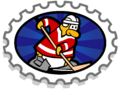 Hockey Team