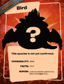 Bird Puffle
