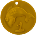 Front view of a Coin Code