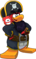 Rockhopper's reflection in a mirror.