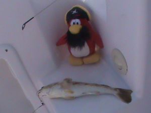 08-09-09 06 lg.jpg