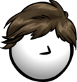 The Dashing